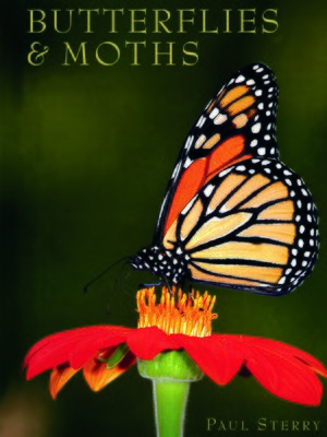 cover image of Butterflies & Moths